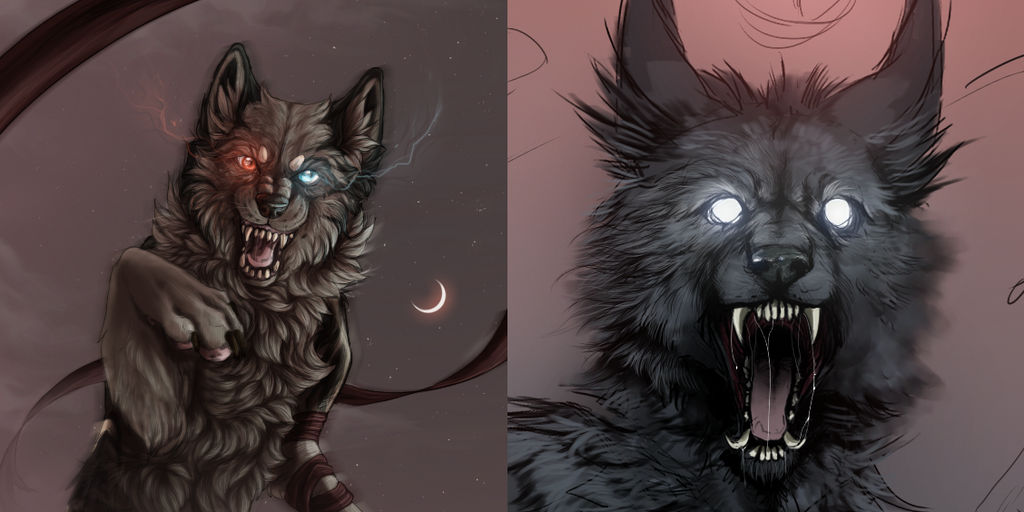 3 years of improvement by foxchirps
