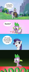 About Spike and Rarity by doubleWbrothers