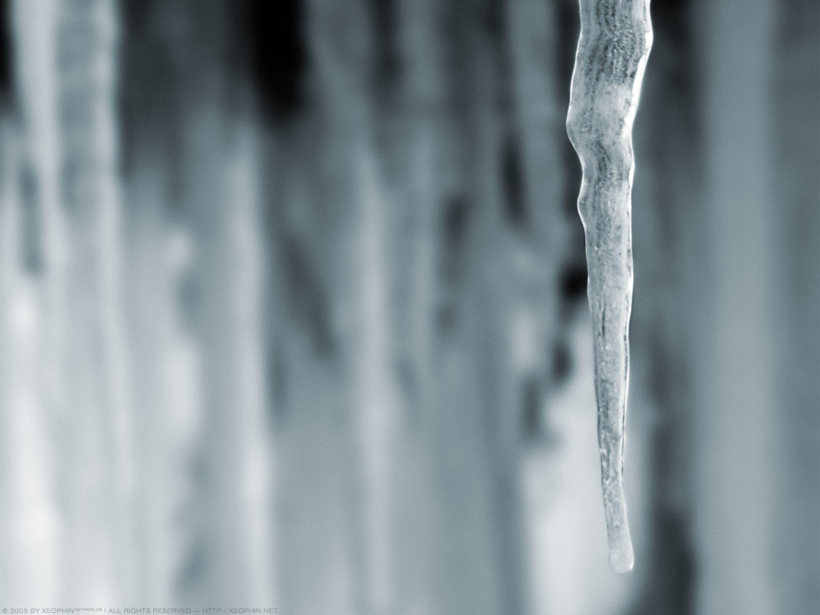 Winter's Greetings by xeophin-net