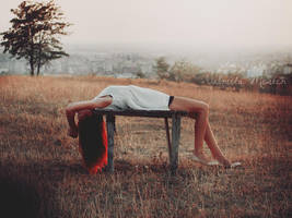 summer bird by leelloor