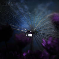 cold colors by leelloor