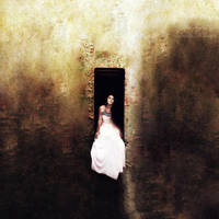 prisoner by leelloor