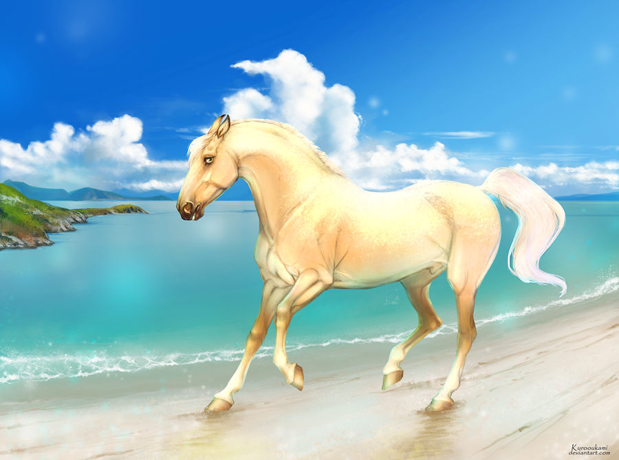 Aurelius by Kurooukami Aurelius by Kurooukami