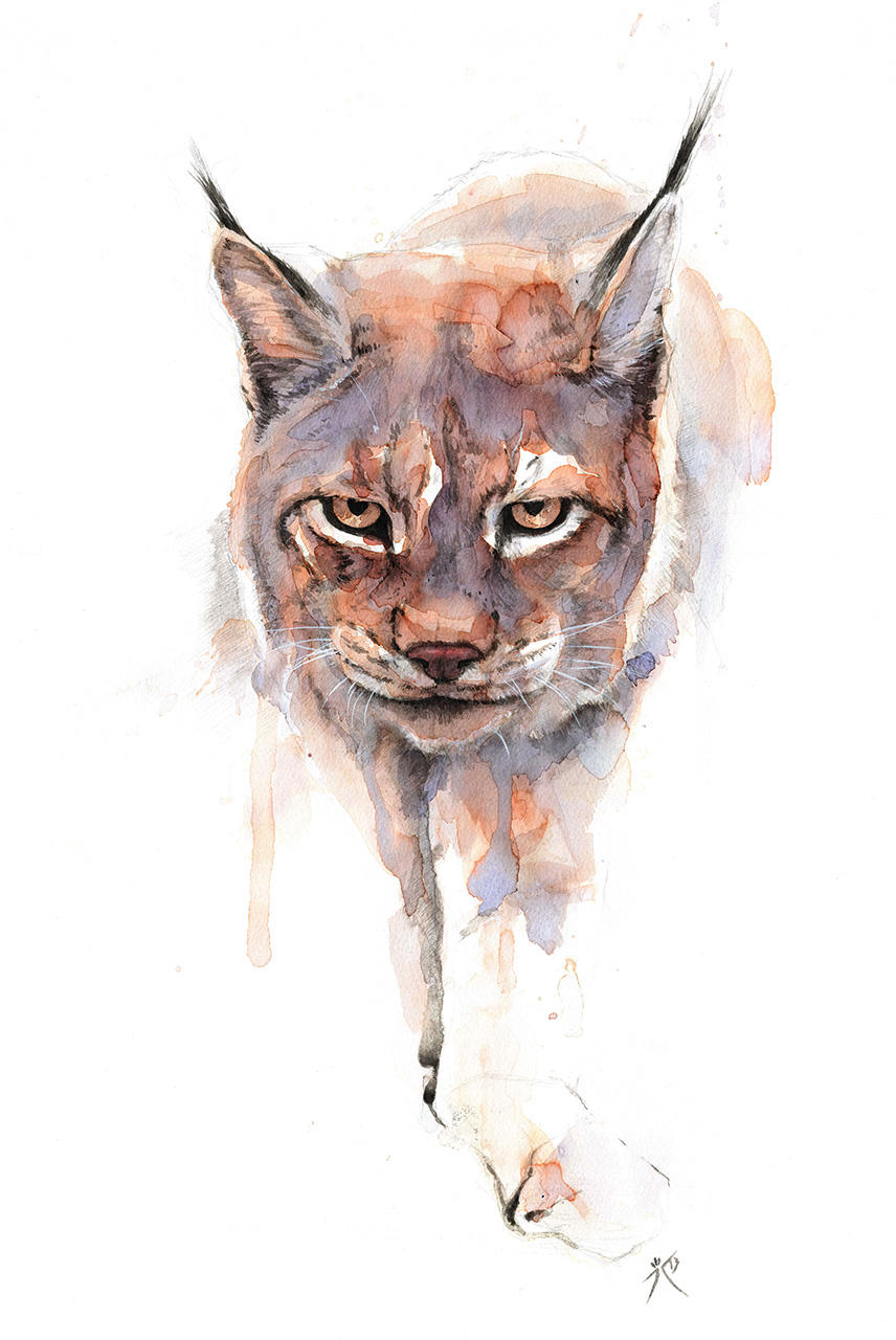 The Lynx by alarie-tano