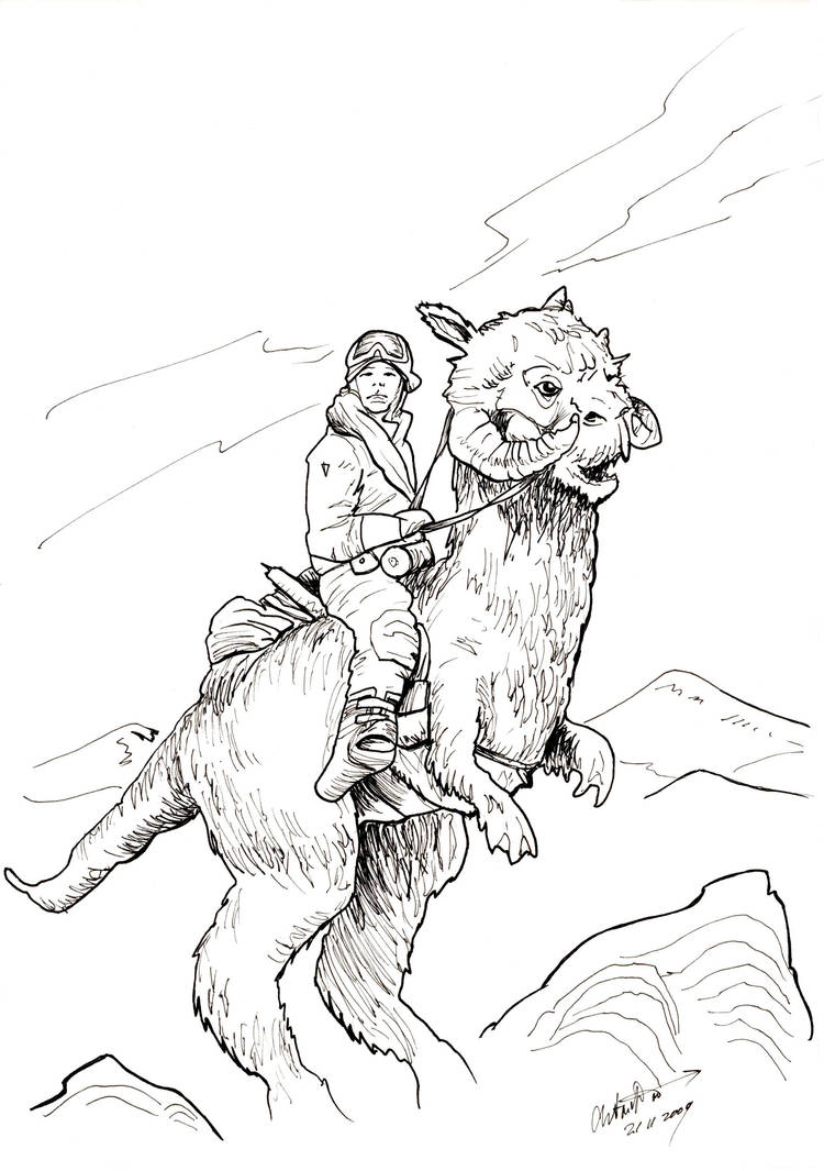 Star Wars: Luuk on Tauntaun by antonvandort