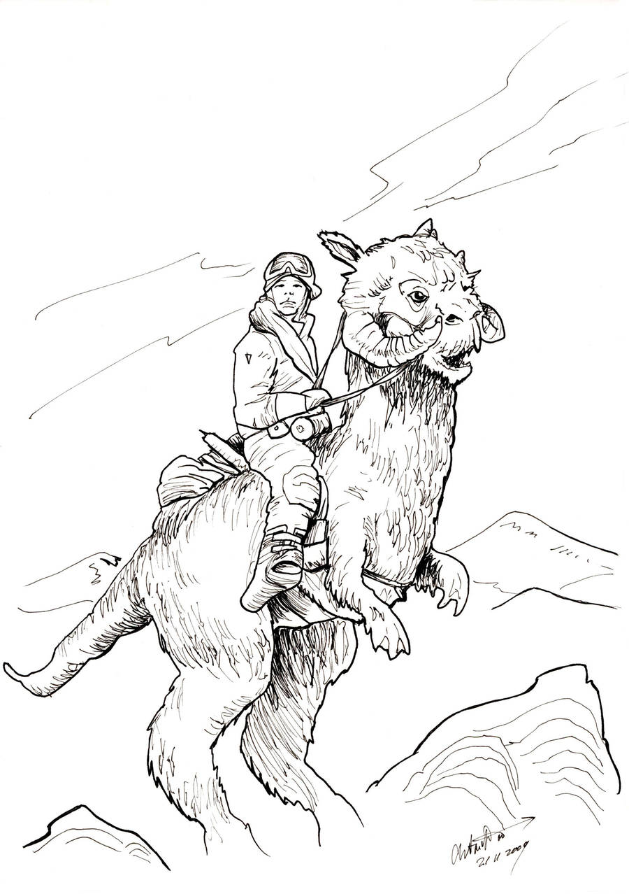 Star Wars: Luuk on Tauntaun by antonvandort