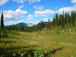 Mount Revelstoke, B.C. Canada by hoodie2u