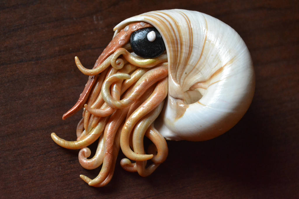 Nautilus by GoldenDaffadowndilly