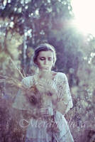 Solitude by Meravigiliosa