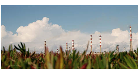 naturalmente industrializavel by juanasilva