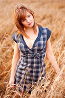 Harvest by thejelley