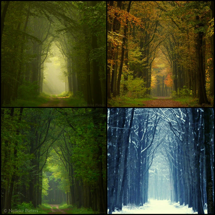 Four Seasons by Nelleke Four Seasons by Nelleke