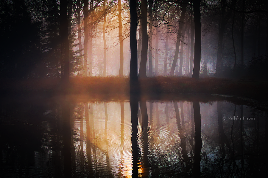 Geheimen by Nelleke