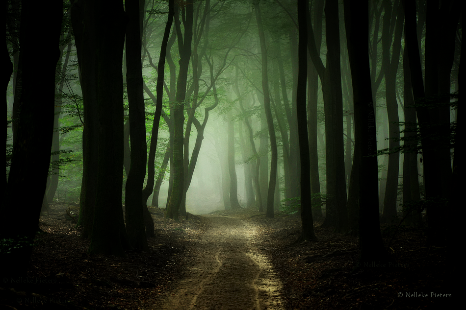 Around The Corner by Nelleke