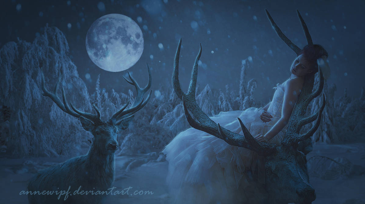 Deers by annewipf Deers by annewipf