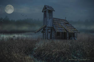 The Swamp by annewipf The Swamp by annewipf