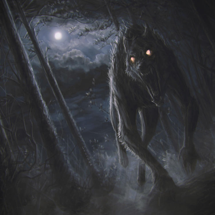 werewolf attack by stoudaa