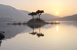 scotland by jesse10132