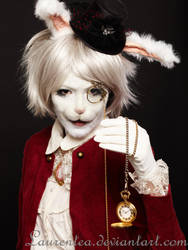 White rabbit Alice wonderland by Laurentea