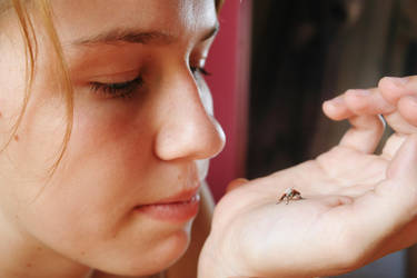 Too Much, Too Little by Insanityisthefuture