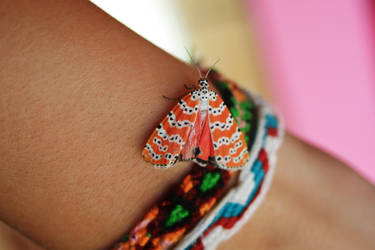 Colour by Insanityisthefuture