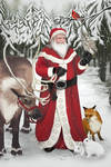 Santa in the Forest by LeeAnneKortus