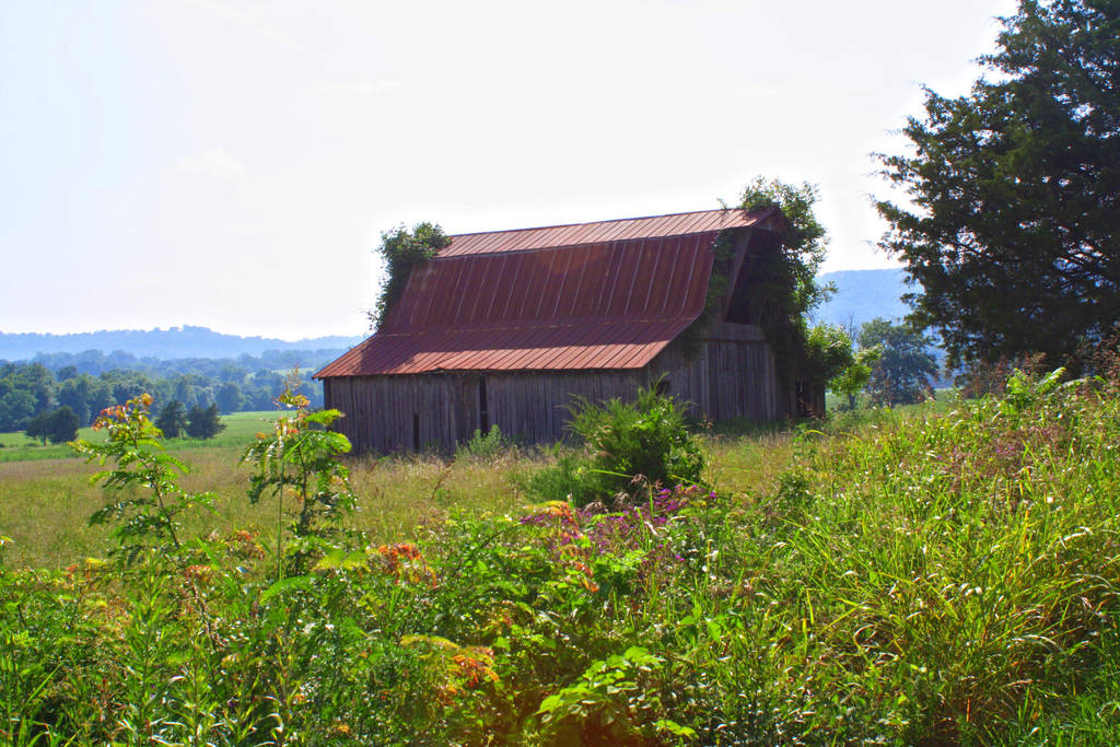 Old Barn by LeeAnneKortus