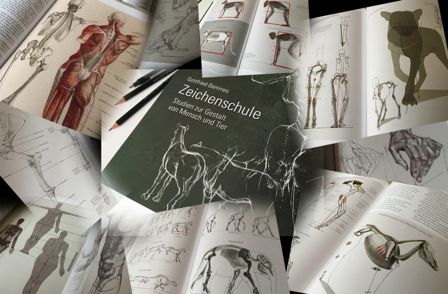 Anatomy-book-challenge by depingo Anatomy-book-challenge by depingo