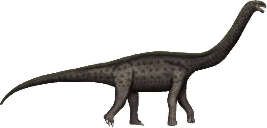 Austrosaurus mckillopi by SpinoInWonderland