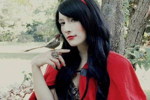 Bird in the Hand by x-Marionette-x