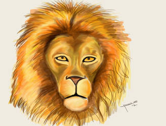 Lion Portrait by ricksd
