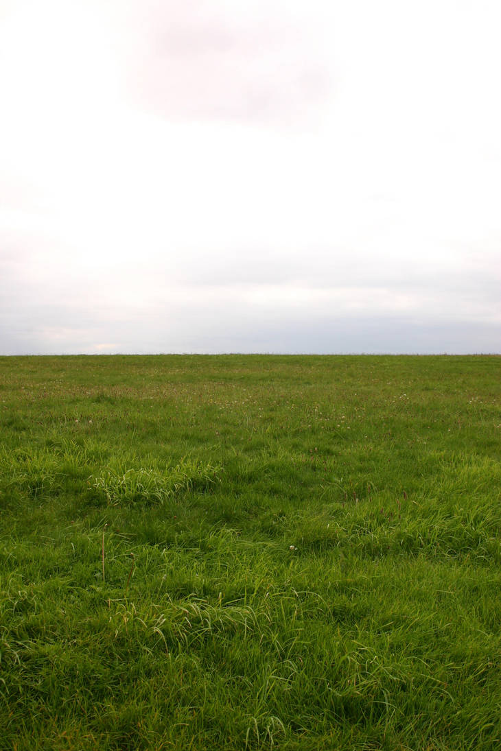 Grassy Field by FoxStox