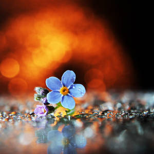 Burning Passion by Kara-a Burning Passion by Kara-a