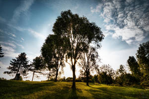 Ray of light II by k-simir