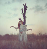 winter trees by AgnieszkaOsipa