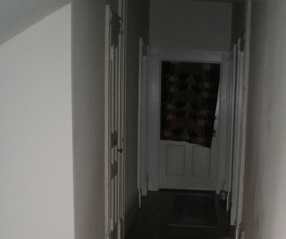 SHWC2006: Hallway by steward