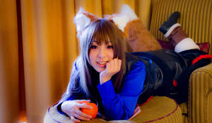 Spice and Wolf II by kaworu0926