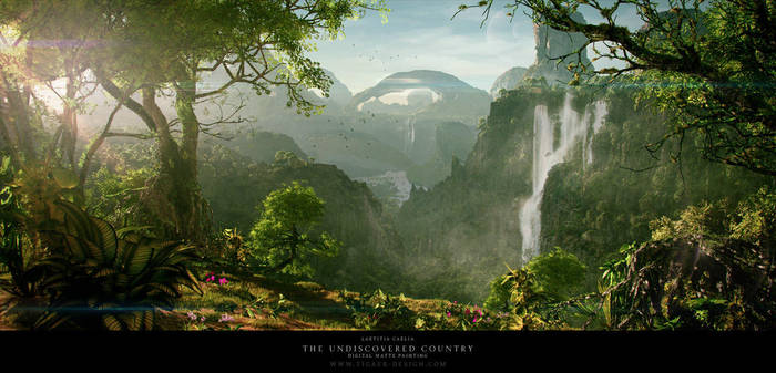 The Undiscovered Country by tigaer