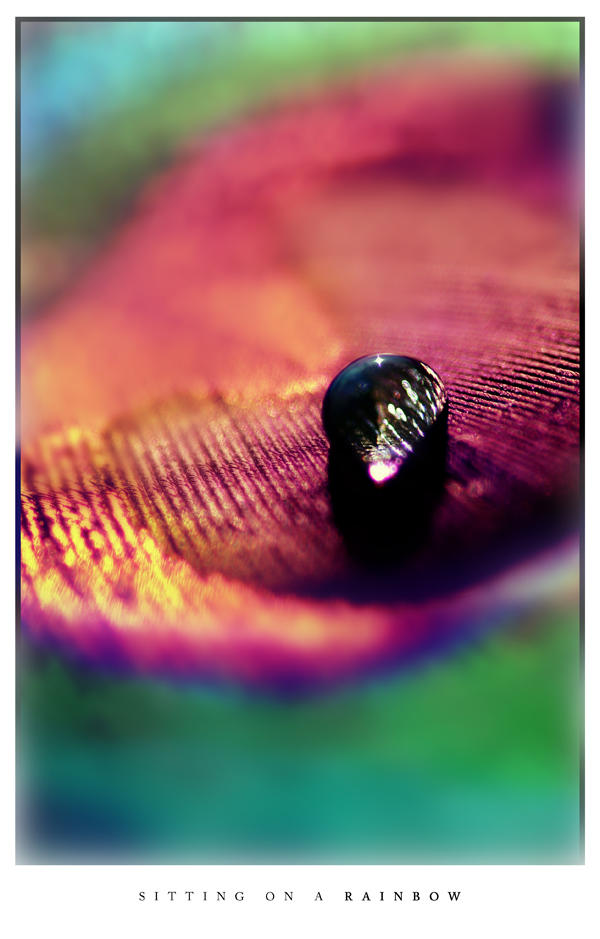 Photo - Sitting on a Rainbow by tigaer