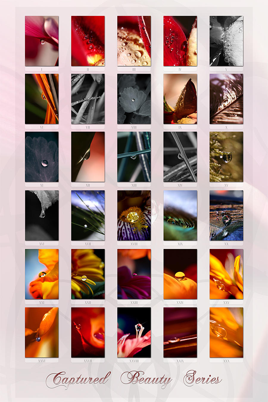 Captured Beauty Series by tigaer