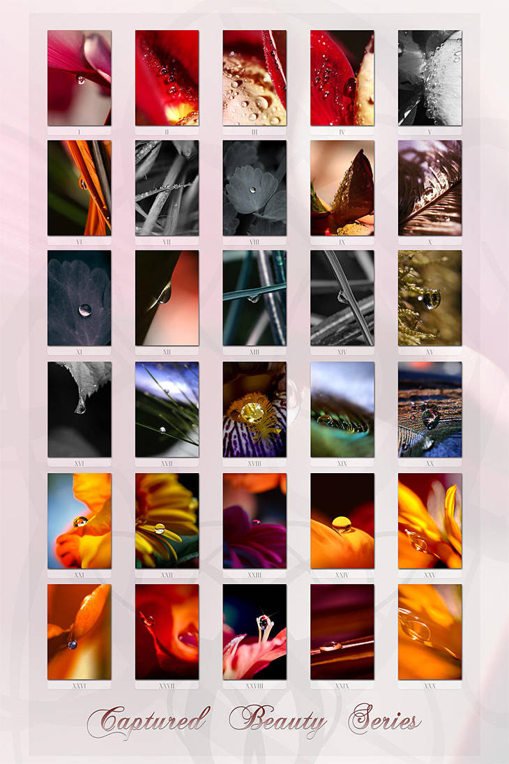 Captured Beauty Series by tigaer