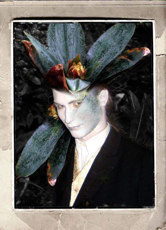 Faerie: Oberon II by i-doru