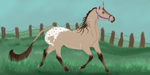 B048 Araneae by JumpingRanch
