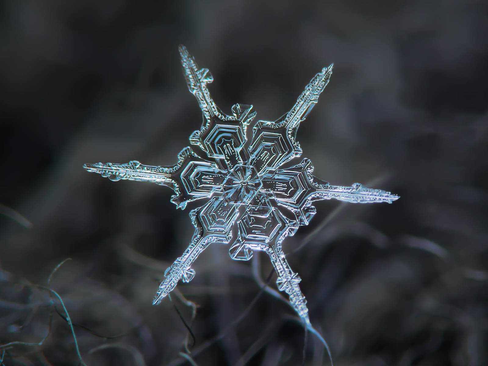 Real snowflake macro photo - The shard by ChaoticMind75