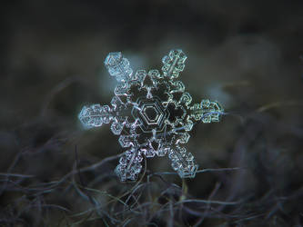 Real snowflake macro photo - Slight asymmetry by ChaoticMind75