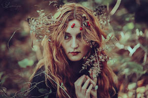 Wanderess by Lorelyne