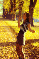 Autumn is coming III by charlotee