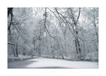 pure white by ssilence