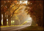 autumn sun by ssilence