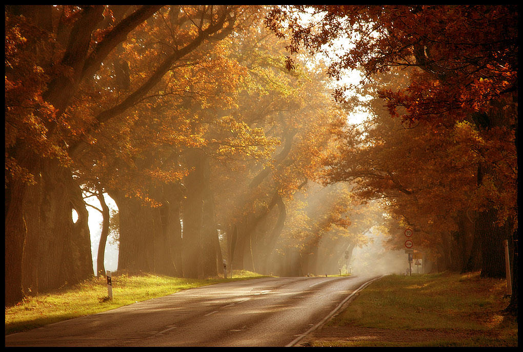 reprise of autumn sun by ssilence